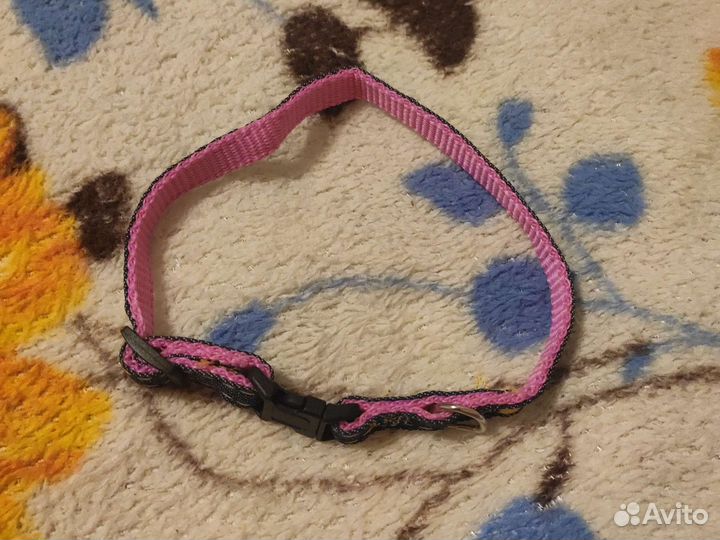 Набор шлейка, поводок, ошейник