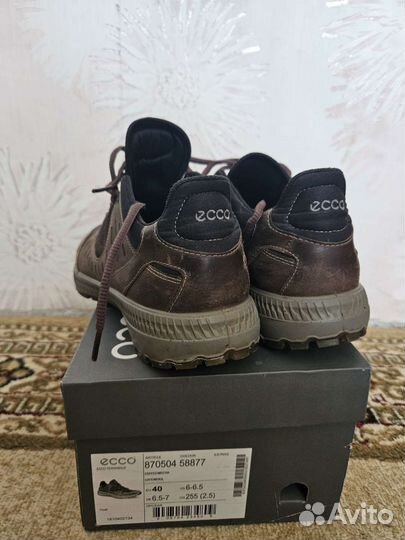 Кроссовки мужские 40 ecco terrawalk M