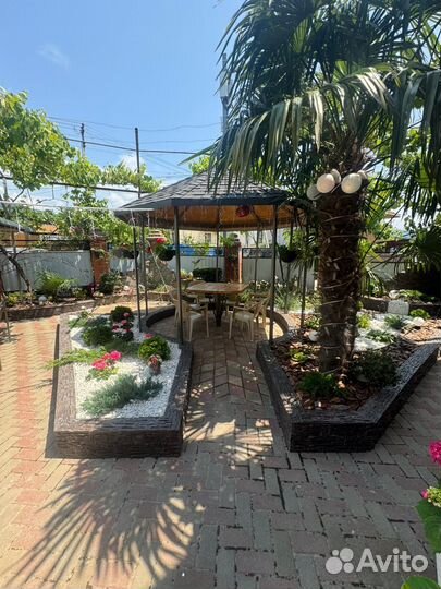 Отдых на черном море Сочи