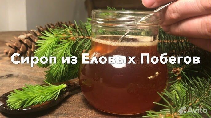 Сироп из еловых лапок