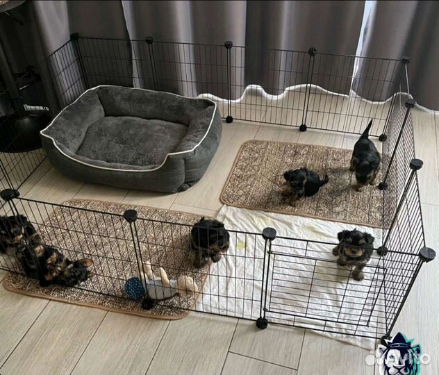 Клетка вольер для собак и кошек