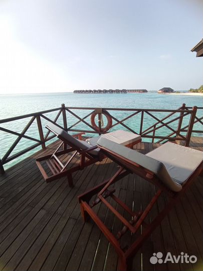 Египет горящие путевки