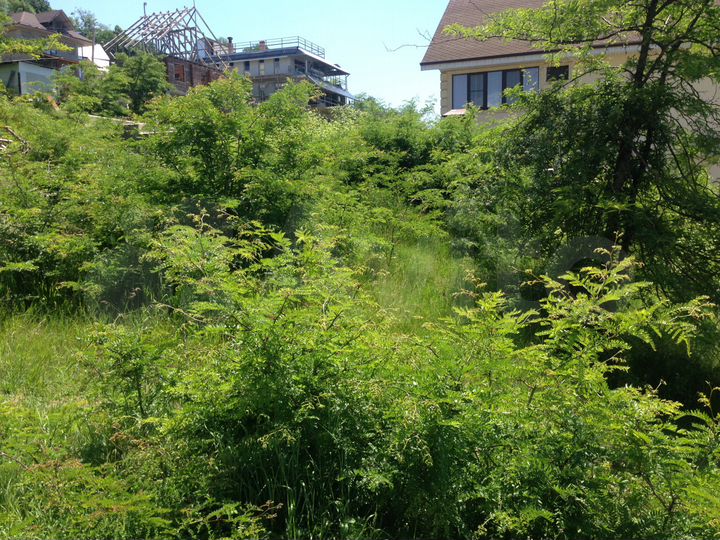 Участок 6 сот. (ИЖС)