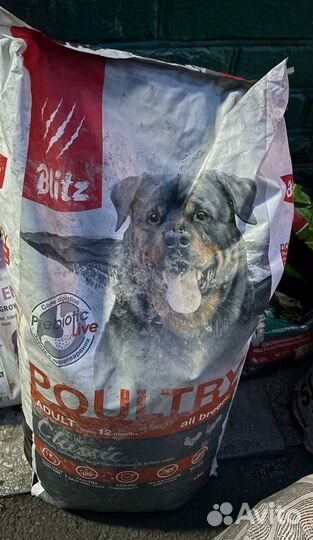 Корм для собак и кошек