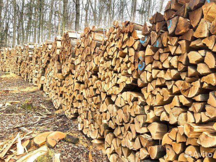 Дрова березовые с доставкой
