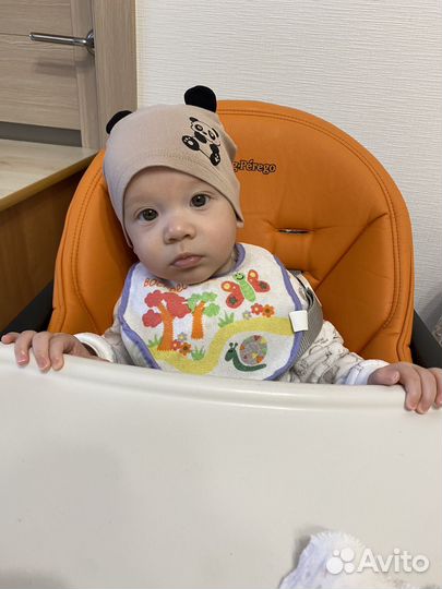 Стульчик для кормления peg perego siesta follow me