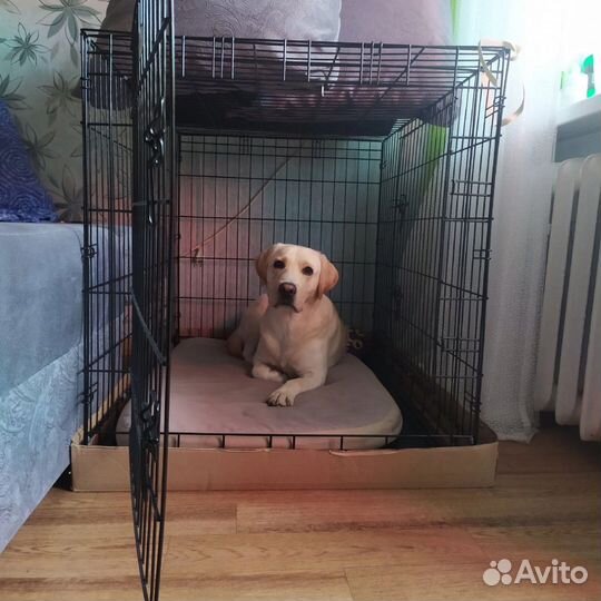Клетка для собак (108х72х77)