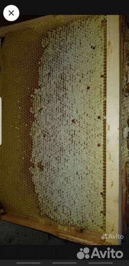 Рамки Дадан