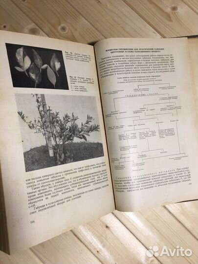 Ккига по селекции 1971 год