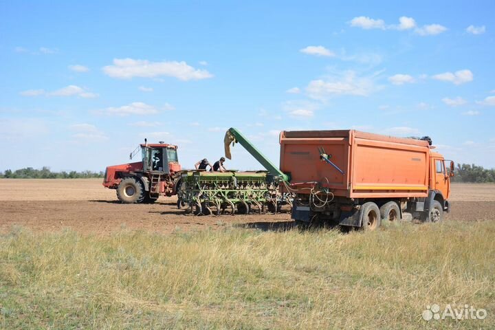 Загрузчик сеялок ЗУС 7К, 2023