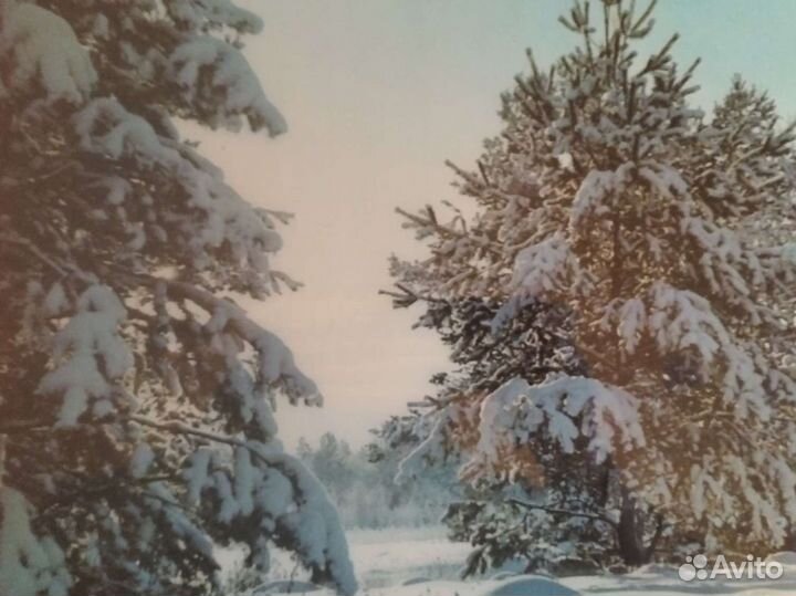 Картины-Панно