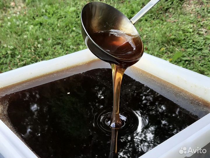 Мёд оптом с пасеки