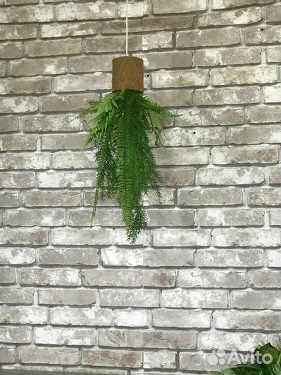Sky planter растения акробаты, подвесной букет