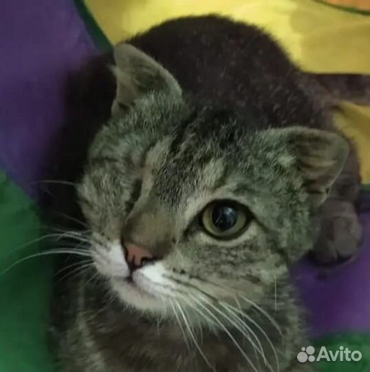 Ищет самую добрую маму особенный малыш Яша