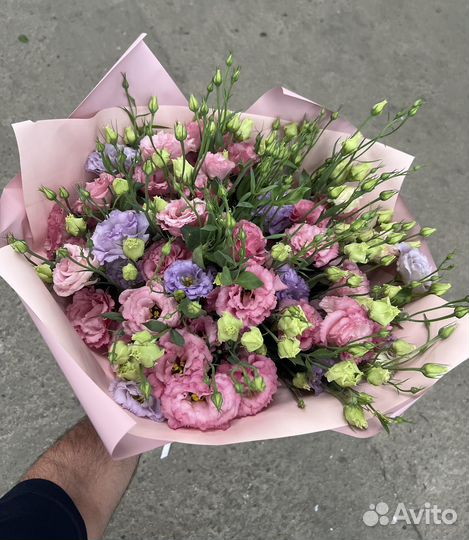 Эустома китайская роза