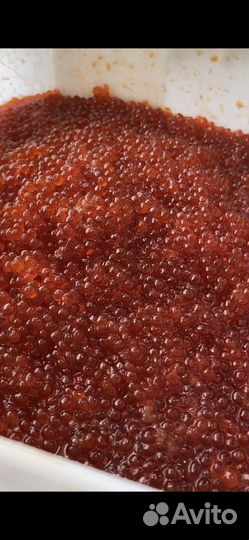 Красная икра кижуч премиум
