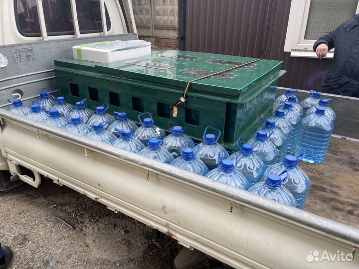 Иммерсионная ванна / Криптокотел