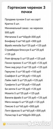 Деревянный черенок метельчатой гортензии.2-3почки