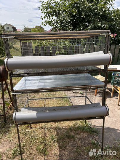 Большая клетка для птиц брудер