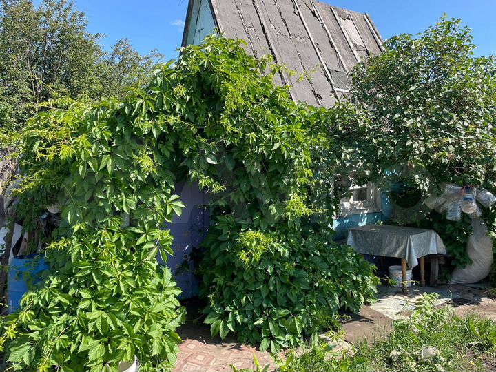 Дача 12,5 м² на участке 3 сот.