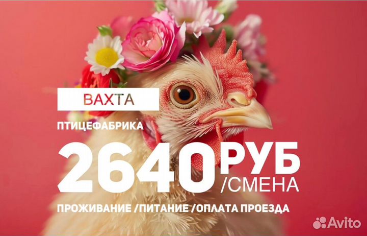 Комплектовщик на птицефабрику вахта все включено