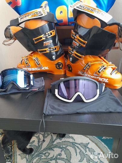 Горные лыжи fischer