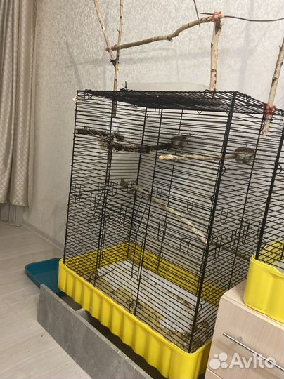 Клетка для попугая