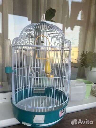 Клетка для попугая