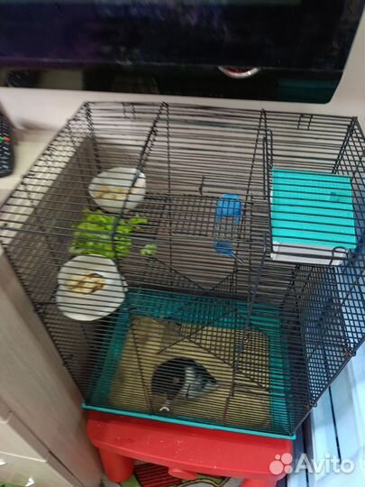 Дамбо с клеткой