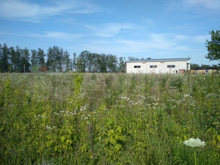 Участок 21 сот. (ИЖС)