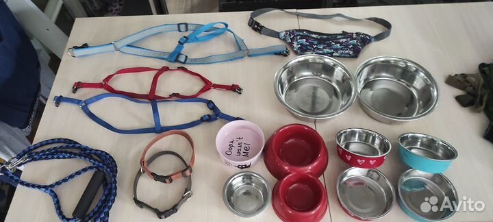 Ошейник, поводок, миски, кусачки для собак