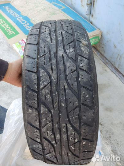 Dunlop Digi-Tyre EC 202 255/60 R18 112