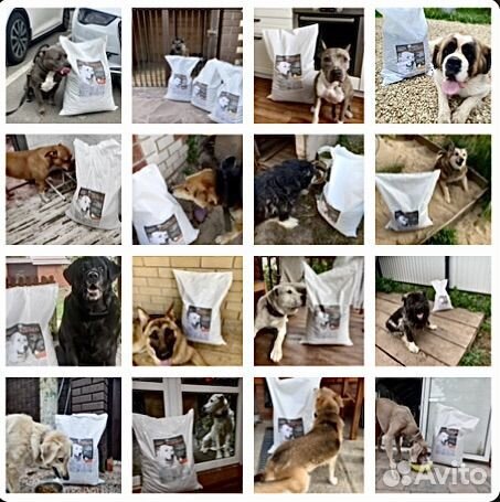 Корм для собак крупных и средних пород