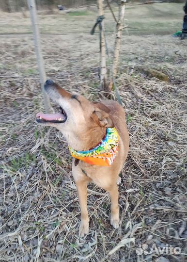 Добро в дом, это Я