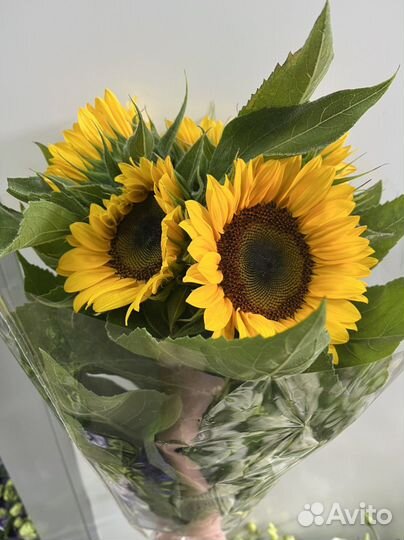 Цветы оптом