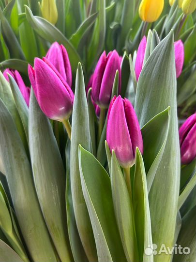 Букет цветов