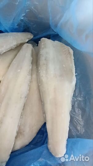 Филе судака на коже замороженное
