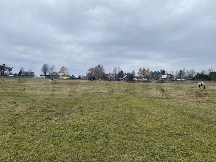 Участок 100 сот. (СНТ, ДНП)