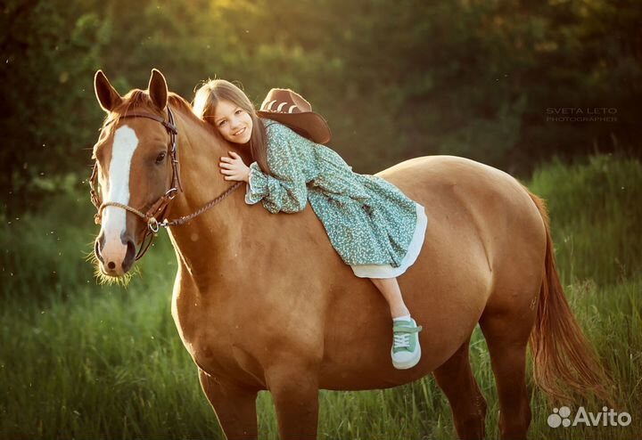 Прогулки на лошадях (лес), обучение (крытый манеж)