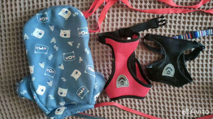 Амуниция для собак