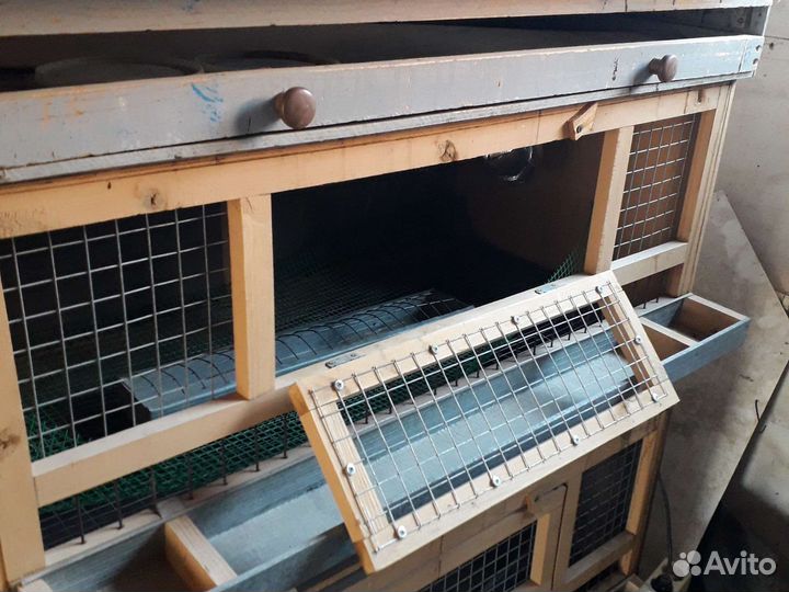 Оборудование для птиц