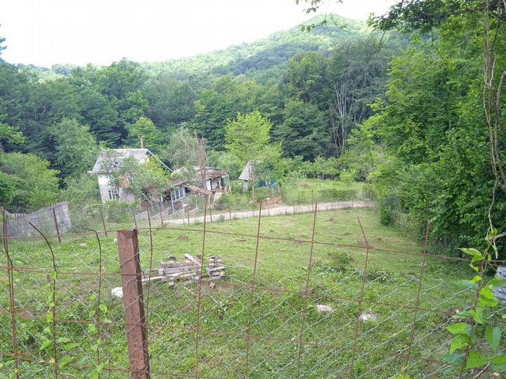 Участок 5,5 сот. (СНТ, ДНП)