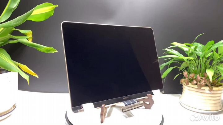 Дисплей MacBook 12 2017 A1534 Обмен