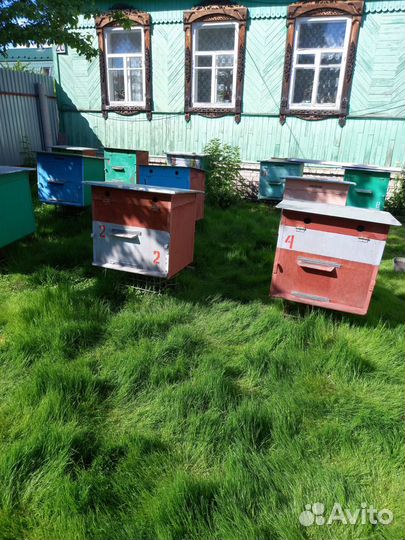 Ульи для пчел бу