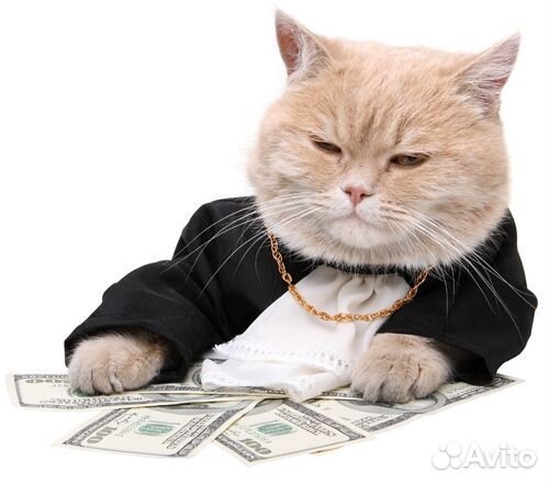 Сборщик заказов в торговый зал