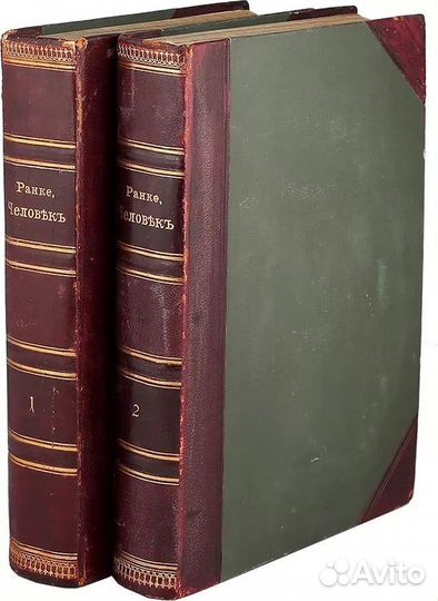 Антиквариат Книга в 2 томах Человек 1901 года