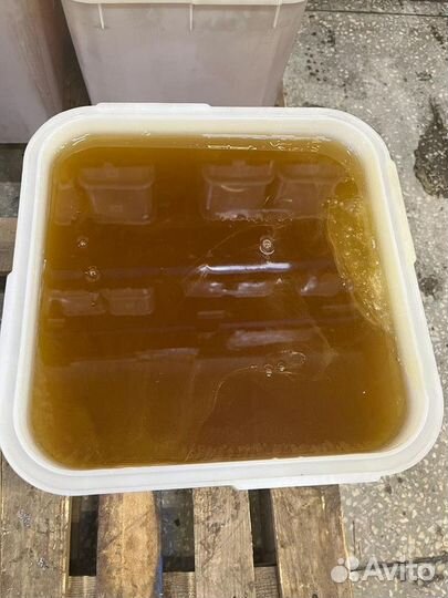 Эспарцет свежий оптом