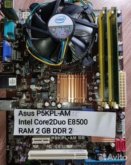 Asus s775 Intel Amd