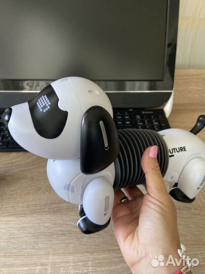 Собака робот. Новая