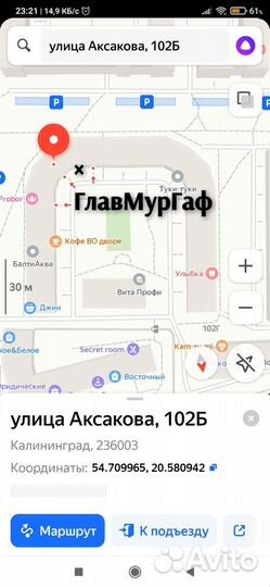 Чистка зубов собакам, кошкам без наркоза